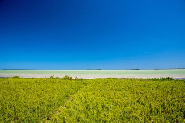 Looking Florida Bay Flamingo Campground Everglades National Park Florida — Stock Photo, Image