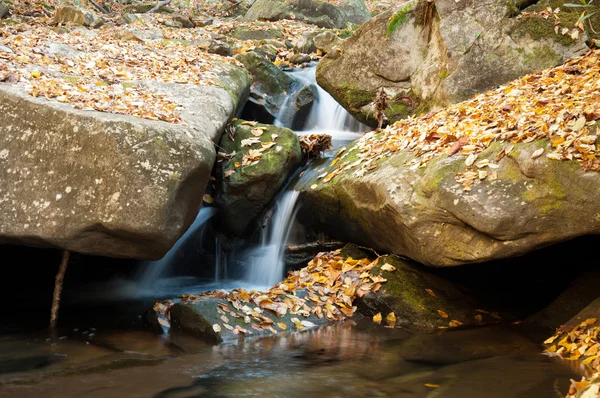 L'eau coule sur les rochers de Bad Branch dans l'est du Kentucky . — Photo