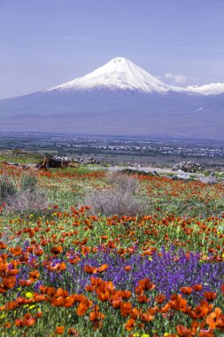 Erivan, Ermenistan 'dan 5,137 metre yükseklikteki Ararat Dağı (Türkiye) görülüyor. Bu karla kaplı bileşik volkan, İncil 'de Nuh' un Gemisi olarak tarif edilen iki büyük volkanik koniden oluşuyor..