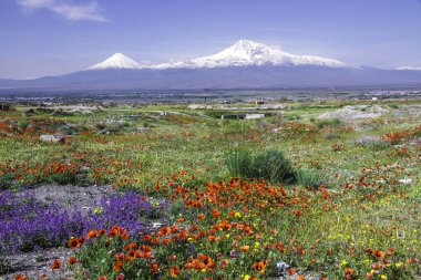 Erivan, Ermenistan 'dan 5,137 metre yükseklikteki Ararat Dağı (Türkiye) görülüyor. Bu karla kaplı bileşik volkan, İncil 'de Nuh' un Gemisi olarak tarif edilen iki büyük volkanik koniden oluşuyor..
