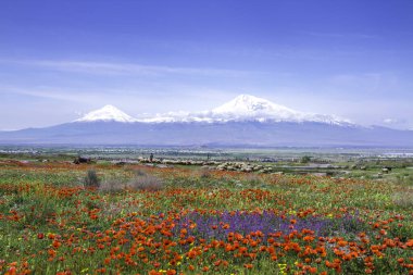 Erivan, Ermenistan 'dan 5,137 metre yükseklikteki Ararat Dağı (Türkiye) görülüyor. Bu karla kaplı bileşik volkan, İncil 'de Nuh' un Gemisi olarak tarif edilen iki büyük volkanik koniden oluşuyor..