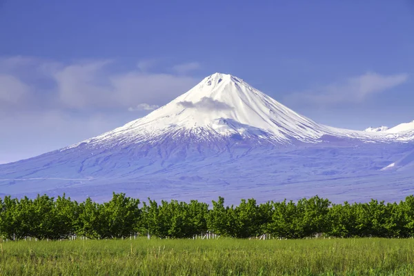 アルメニアのエレバンから見られる5 137 Mのアララト山 トルコ この雪に覆われた休眠化合物火山は 聖書でノアの箱舟の休憩所として記述された2つの主要な火山コーンで構成されています — ストック写真