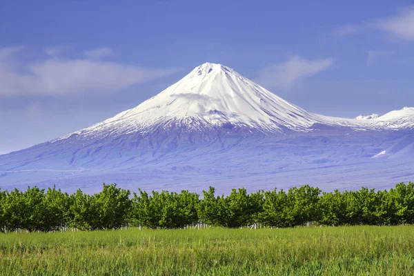Der Berg Ararat Türkei Auf 5137 Von Jerewan Armenien Aus — Stockfoto