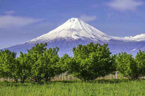 アルメニアのエレバンから見られる5 137 Mのアララト山 トルコ この雪に覆われた休眠化合物火山は 聖書でノアの箱舟の休憩所として記述された2つの主要な火山コーンで構成されています — ストック写真