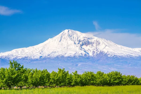 Monte Ararat Turquía 137 Visto Desde Ereván Armenia Este Volcán — Foto de Stock