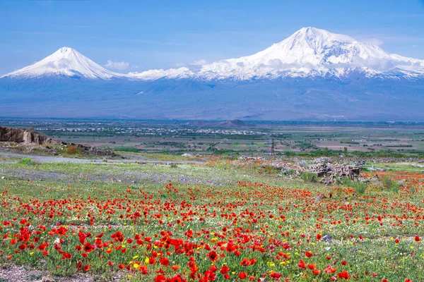 Mount Ararat Turecko Nadmořské Výšce 137 Jerevanu Arménii Tato Zasněžená — Stock fotografie