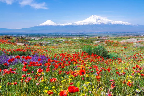 Erivan, Ermenistan 'dan 5,137 metre yükseklikteki Ararat Dağı (Türkiye) görülüyor. Bu karla kaplı bileşik volkan, İncil 'de Nuh' un Gemisi olarak tarif edilen iki büyük volkanik koniden oluşuyor..