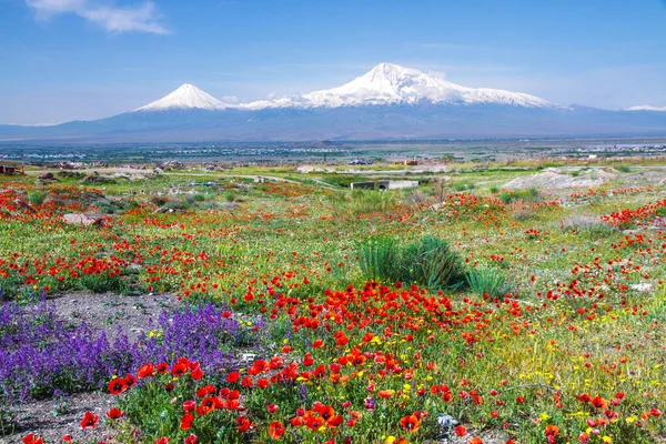 Erivan, Ermenistan 'dan 5,137 metre yükseklikteki Ararat Dağı (Türkiye) görülüyor. Bu karla kaplı bileşik volkan, İncil 'de Nuh' un Gemisi olarak tarif edilen iki büyük volkanik koniden oluşuyor..