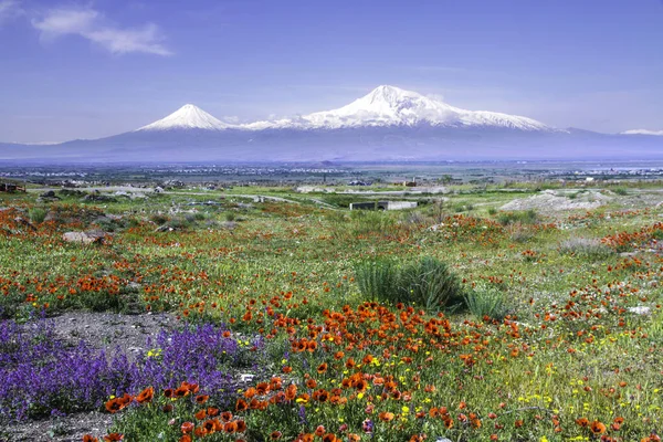 Mount Ararat Turkiet 137 Sett Från Jerevan Armenien Denna Snötäckta — Stockfoto