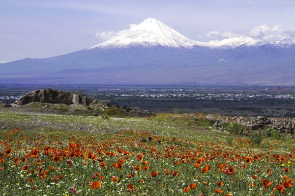 Гора Арарат Турция 5137 Вид Еревана Армения Заснеженный Вулкан Состоит — стоковое фото