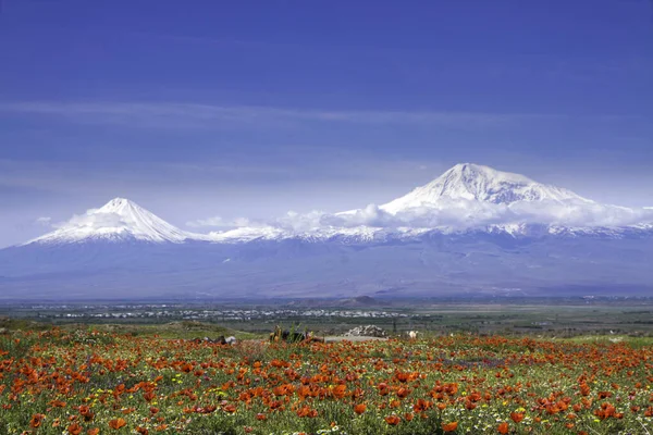 Mount Ararat Turkiet 137 Sett Från Jerevan Armenien Denna Snötäckta — Stockfoto