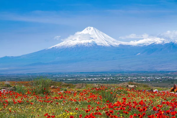 Гора Арарат Турция 5137 Вид Еревана Армения Заснеженный Вулкан Состоит — стоковое фото