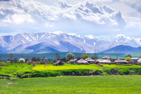 Ermenistan Güzel Yeşil Çayır Tepeleri — Stok fotoğraf