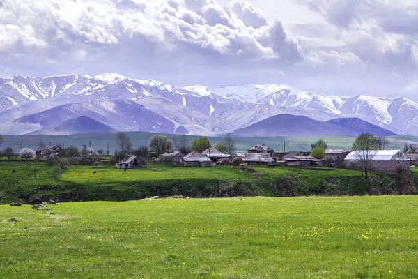 Hermosa Pradera Verde Colinas Campo Armenia — Foto de Stock