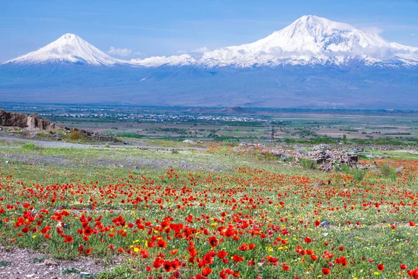 从亚美尼亚埃里温俯瞰的Ararat山 土耳其 137米 这座被雪覆盖的休眠复合火山由圣经中描述为诺亚方舟安息之地的两个主要火山锥组成 图库照片