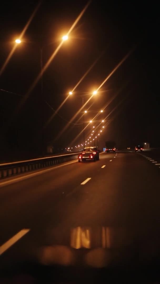 Движение автомобилей по дороге ночью с рядами горящих фонарных столбов в легкой дымке. Вертикальное видео. Дорожное путешествие — стоковое видео