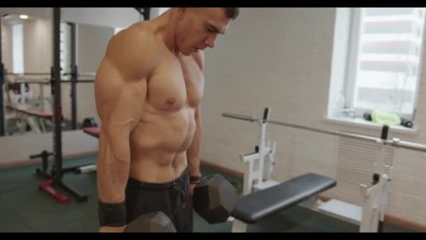 Νεαρός bodybuilder με γυμνό κορμό κουνάει τους μυς της πλάτης του σηκώνοντας τους ώμους του με βαριά αλτήρες στα χέρια του στην προπόνηση στο γυμναστήριο — Αρχείο Βίντεο