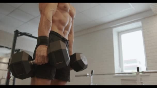 Νεαρός bodybuilder με γυμνό κορμό κουνάει τους μυς της πλάτης του σηκώνοντας τους ώμους του με βαριά αλτήρες στα χέρια του στην προπόνηση στο γυμναστήριο — Αρχείο Βίντεο