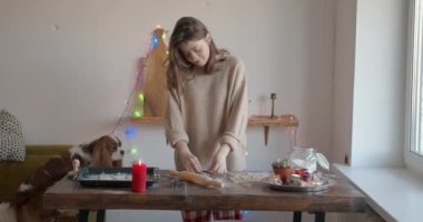 Şirin bir spanyel köpek masada oturur ve genç bir kadının Noel için pişirdiği yemek tepsisindeki zencefilli ekmeklere bakar.