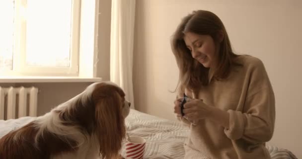 Chica joven sonriente se sienta en la cama delante de su perro y trata de abrir una bolsa de malvaviscos para el cacao a las galletas que se encuentra en un plato en la cama — Vídeos de Stock