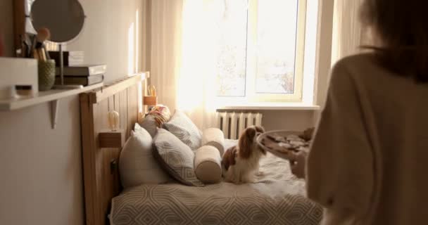 Atractiva joven entra en su dormitorio con un plato de galletas y una taza de bebida y se sienta en la cama donde hay un lindo perro esperándola — Vídeos de Stock