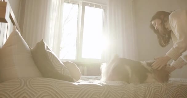 Enerjik genç bir kız köpeğiyle oynar ve yatağının üzerine pencereden parlak güneşin arka fonuna oyuncak atar.