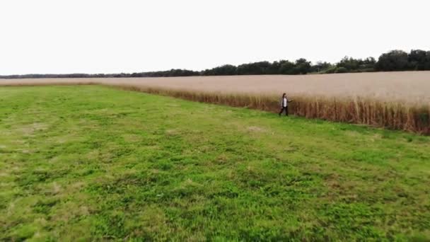 Drone riprese di un bellissimo paesaggio rurale estivo e una giovane ragazza che cammina sullo sfondo di un campo di grano — Video Stock