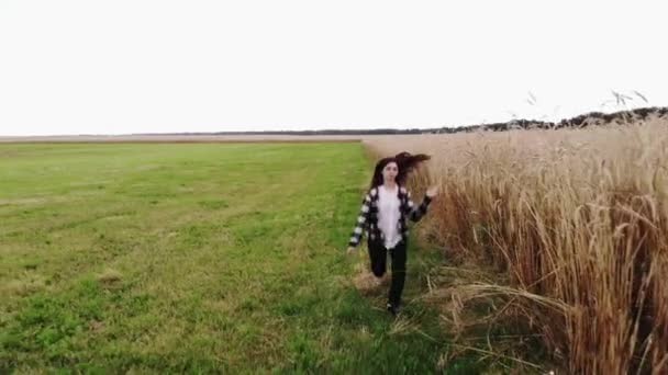 Una bella ragazza corre lungo un campo di grano in campagna in una giornata estiva. Sparatoria da un quadricottero — Video Stock