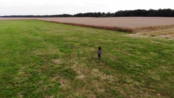 Top uitzicht op jonge langharige meisje loopt door groene weide naar tarweveld en prachtige landelijke landschap — Stockvideo