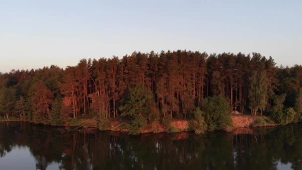 Vista aérea deslumbrante de um grande lago entre as florestas nos raios do pôr do sol e um céu rosa com pássaros voadores — Vídeo de Stock