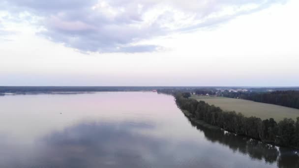 Un bellissimo panorama di un grande lago da una vista a volo d'uccello in una giornata estiva e un villaggio di cottage sulla riva tra la foresta — Video Stock