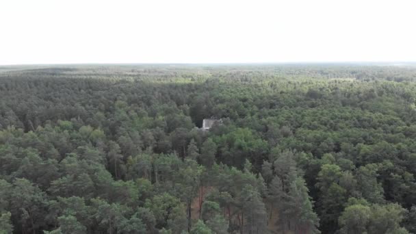 Natáčení shora z krásného panského domu mezi stromy s příjezdovou cestou a panorama lesa na pozadí letní oblohy — Stock video
