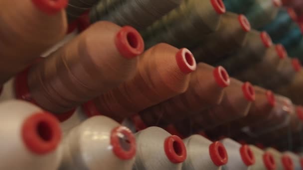 Las filas de carretes de hilo en un taller o taller de costura se seleccionan por tonos de color para diferentes telas. Primer plano — Vídeos de Stock