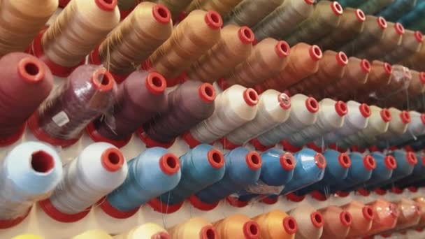 Filas de carretes grandes de hilo para máquinas de coser se clasifican en un stand por color y sombra en un taller de producción o taller — Vídeo de stock