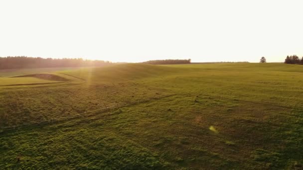 Prachtig uitzicht vanuit de lucht op heuvelachtige groene weiden bij zonsondergang op een zomerdag en een witte trailer tegen de achtergrond van gras — Stockvideo