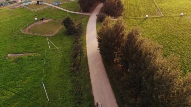 Αεροφωτογραφία ενός καλοκαιρινού τοπίου σε ένα ράντσο ανάμεσα σε πράσινα χωράφια και ανθρώπους που περπατούν με ένα άλογο κατά μήκος του δρόμου — Αρχείο Βίντεο