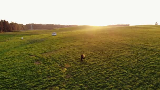 Disparando desde el dron de una joven que camina a través de prados montañosos y girando levantando sus manos al cielo al atardecer — Vídeos de Stock