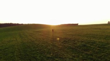 Genç bir kızın uzaktan kumandalı uçağıyla gün batımının arka planında yeşil tepecikli çayırlarda koşuyor.