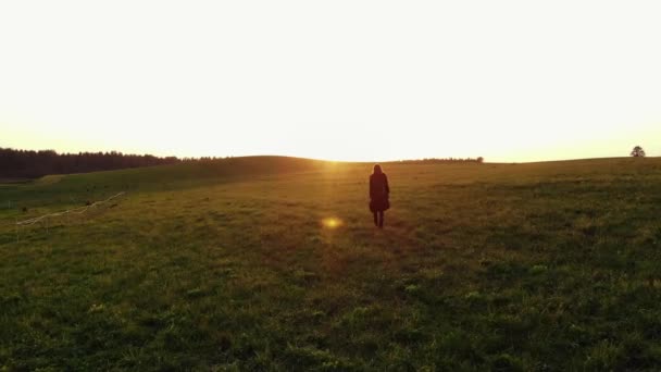 Vista aérea de uma jovem em um casaco de trincheira preto andando em um prado verde em direção ao pôr do sol. Conceito de confiança e determinação — Vídeo de Stock
