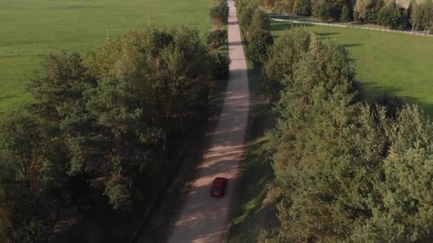 Bovenaanzicht van een rode auto op een weg tussen bomen en een prachtig landelijk landschap met een dorpje op een zomerdag — Stockvideo