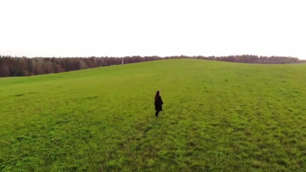 Disparando desde el dron de una joven corriendo a través de un gran campo verde contra el telón de fondo de la naturaleza y la aldea — Vídeos de Stock