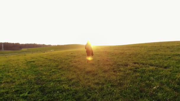 Sparatoria da drone di una giovane ragazza che corre attraverso verdi prati collinari sullo sfondo di un tramonto — Video Stock