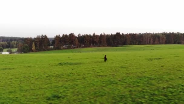 Σκοποβολή από drone ενός νεαρού κοριτσιού που τρέχει σε ένα μεγάλο πράσινο πεδίο με φόντο τη φύση και το χωριό — Αρχείο Βίντεο