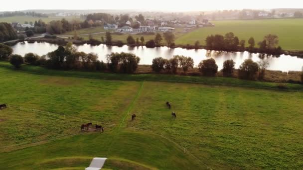 Tiro de zangão de uma aldeia rural na margem do rio em um dia de verão e cavalos que pastam em um prado verde — Vídeo de Stock