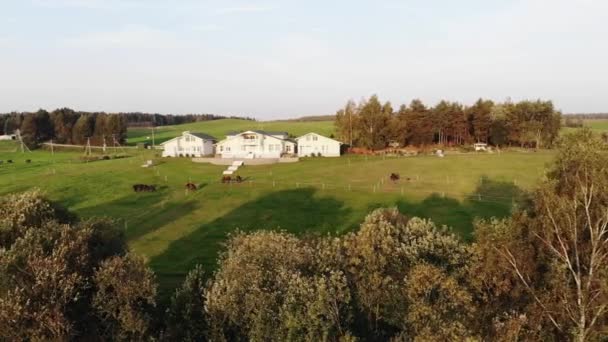 Flygfoto över en stuga på landet med en stor terrass omgiven av träd och betande hästar på en grön äng — Stockvideo