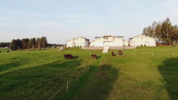 Tiro de zangão de uma bela casa de campo em uma colina cercada por cavalos pastando nos prados de uma fazenda em um dia de verão — Vídeo de Stock