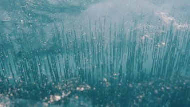 Baykal Gölü 'nün şeffaf mavi buzunda donmuş hava kabarcıklarının sersemletici görüntüsü