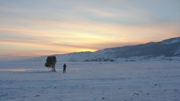 Одинокое дерево и человек, идущий на фоне панорамы замерзшего озера Байкал и гор на закате — стоковое видео