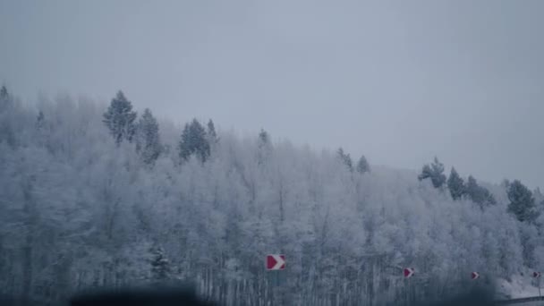 Neve e geada em árvores ao longo de uma estrada suburbana através do pára-brisas de um carro durante as viagens de inverno — Vídeo de Stock