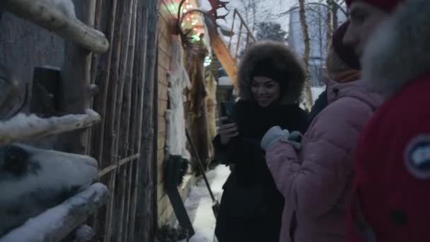 Murmansk, Rusia - 10 de enero de 2021: En un viaje de invierno a una granja, un grupo de turistas felices alimentan a los renos en los corrales y les toman fotos con sus teléfonos — Vídeo de stock
